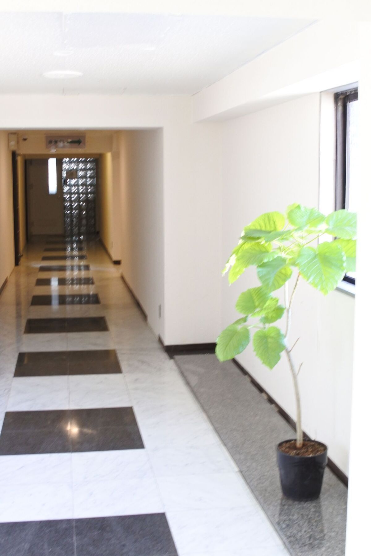 Kagoshima Guest House M104 - Hostel Экстерьер фото